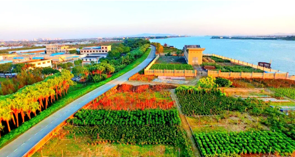 广州自驾线路,粤西海岸线,从广州到湛江徐闻