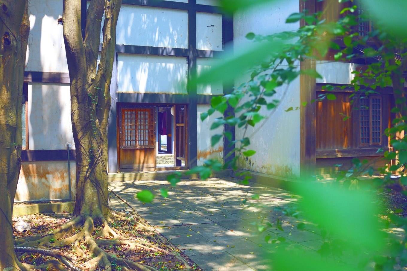 广州自驾线路,粤西海岸线,从广州到湛江徐闻