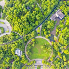 带父母游【广州】攻略(数十条经典经路供选择)
