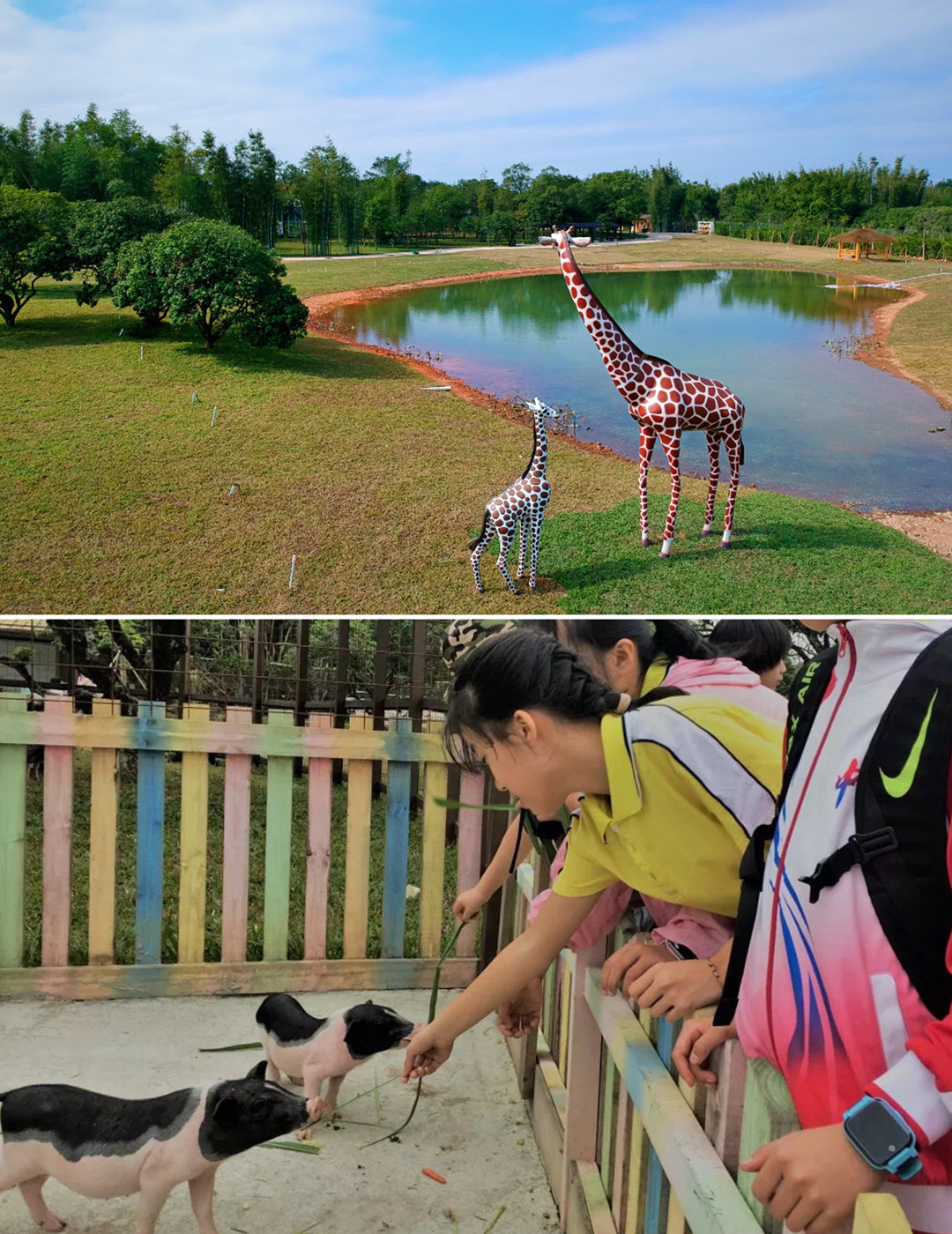 广州/深圳周边露营地盘点,周末就可出发