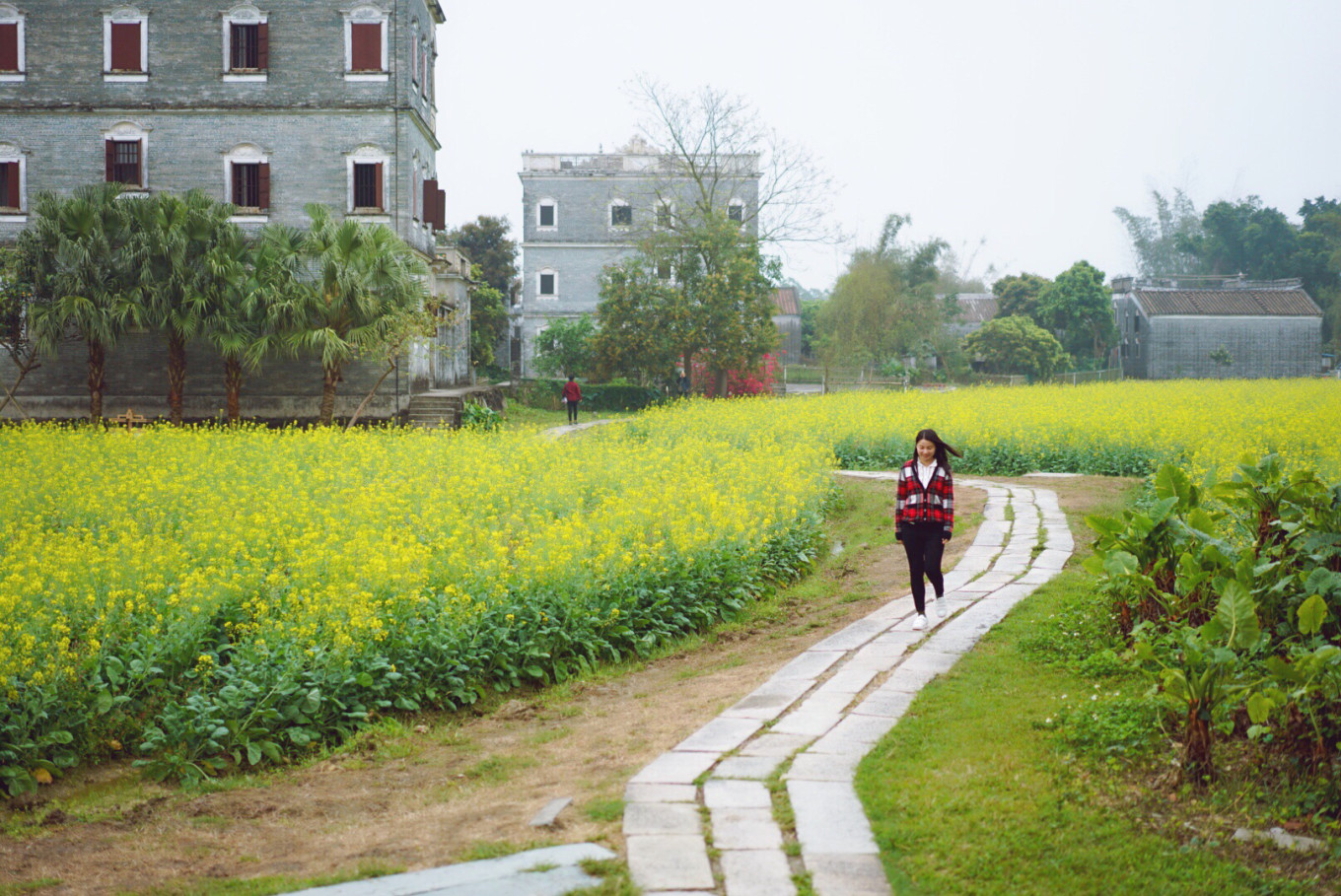广深周边,踏青赏花寻秋