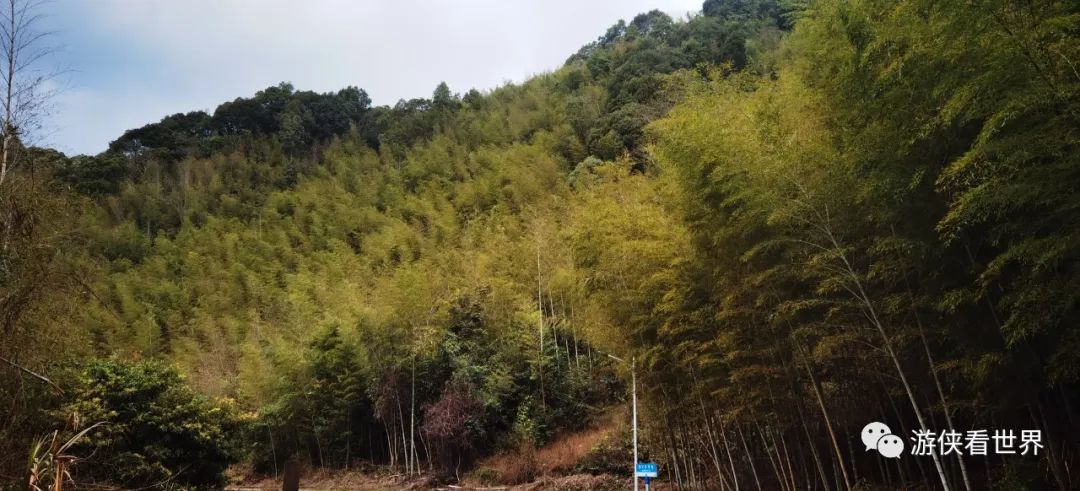 广州绝美乡村星溪线徒步 竹林李花溪水走地鸡竹筒饭