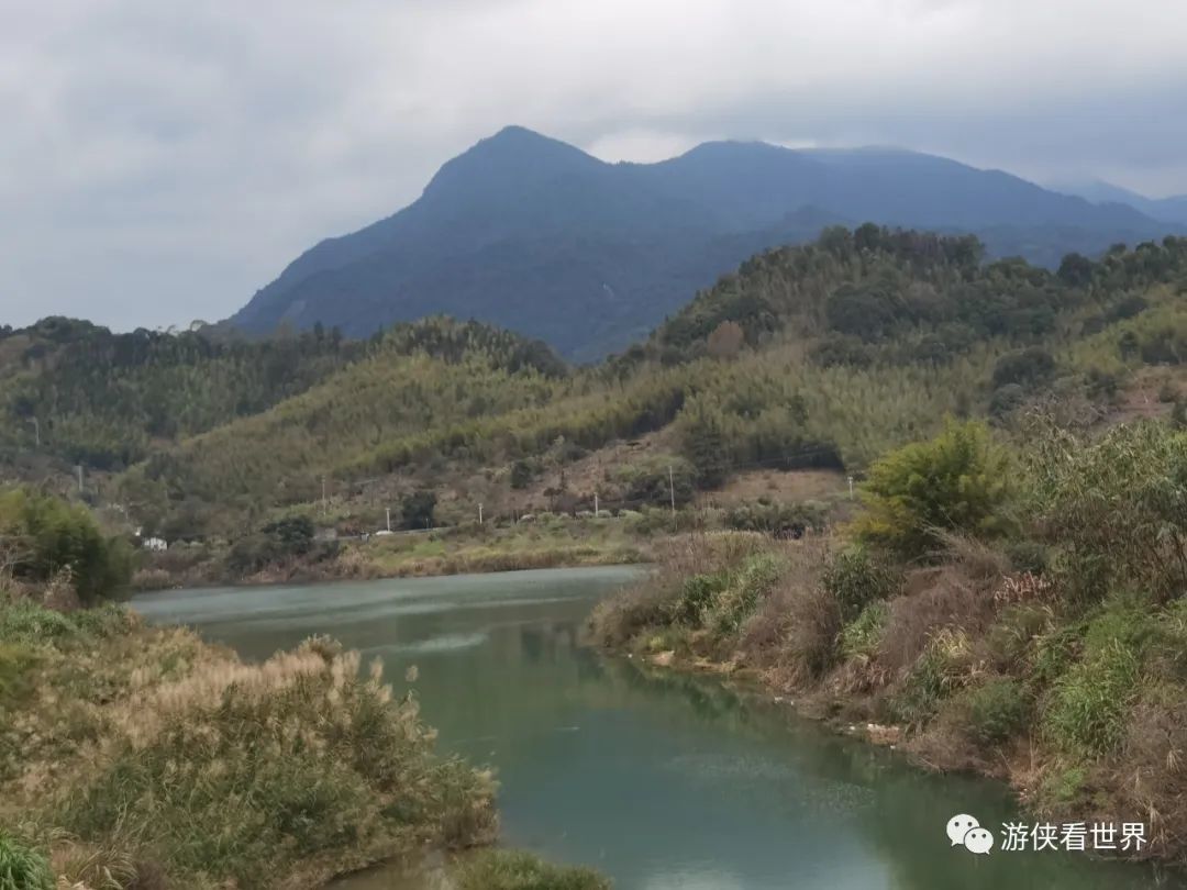 广州绝美乡村星溪线徒步 竹林李花溪水走地鸡竹筒饭