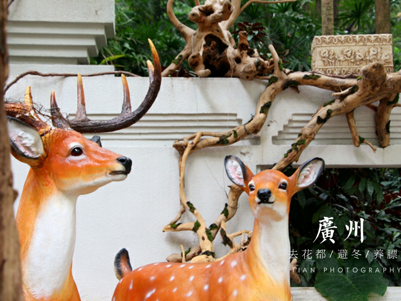 广州必玩景点和必体验:深入广州的“新”与“旧”