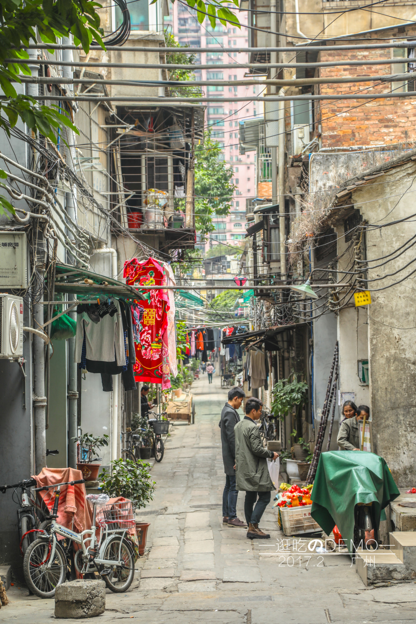 在广州荔枝湾,体验"老广"生活