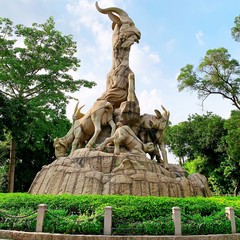 带父母游【广州】攻略(数十条经典经路供选择)