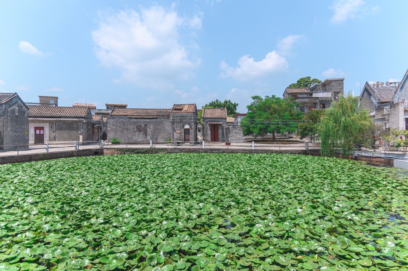 广州自驾线路,粤西海岸线,从广州到湛江徐闻