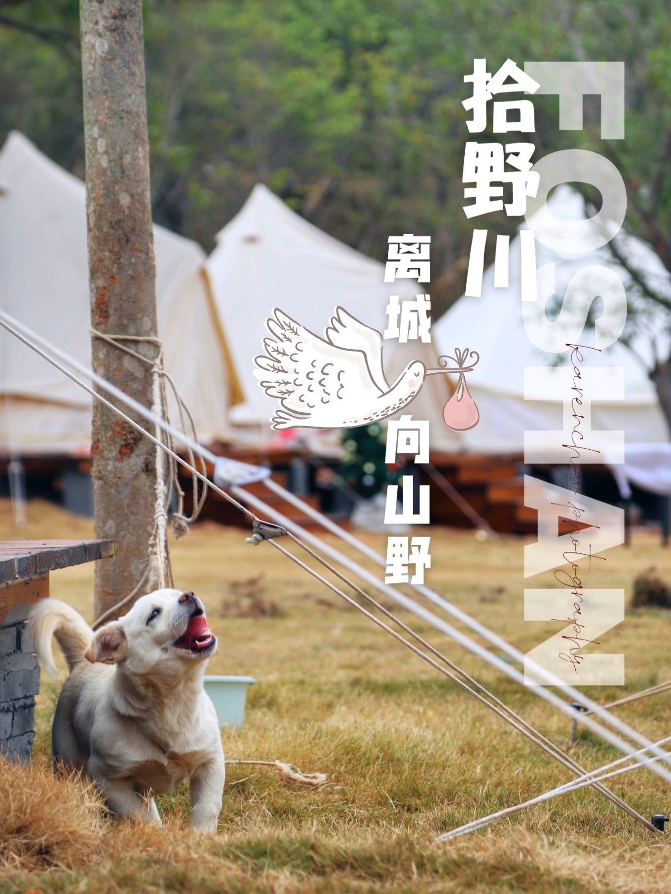 广州/深圳周边露营地盘点,周末就可出发