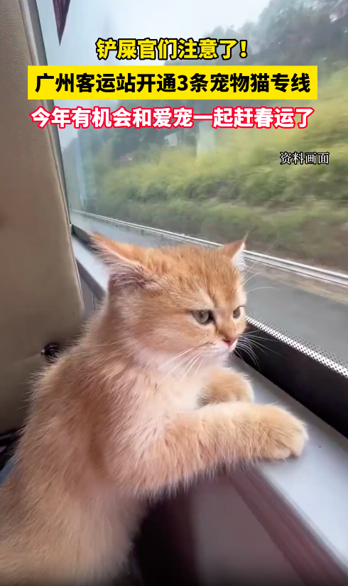 广州行前了解