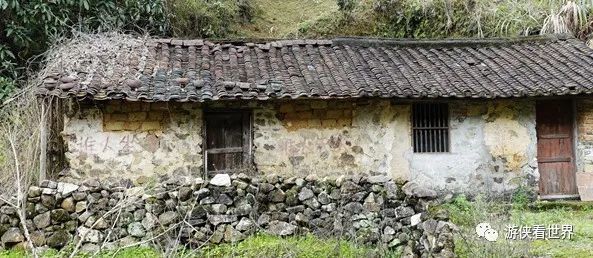 广州绝美乡村星溪线徒步 竹林李花溪水走地鸡竹筒饭