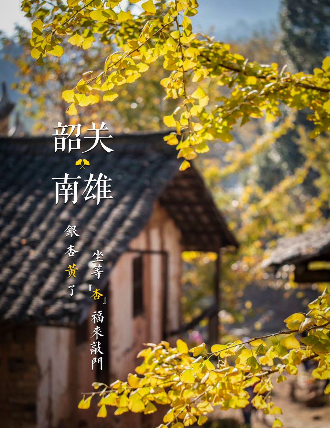 广深周边,踏青赏花寻秋