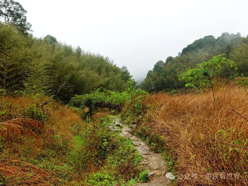 广州:星溪线乡野徒步 雨中漫步天适樱花园