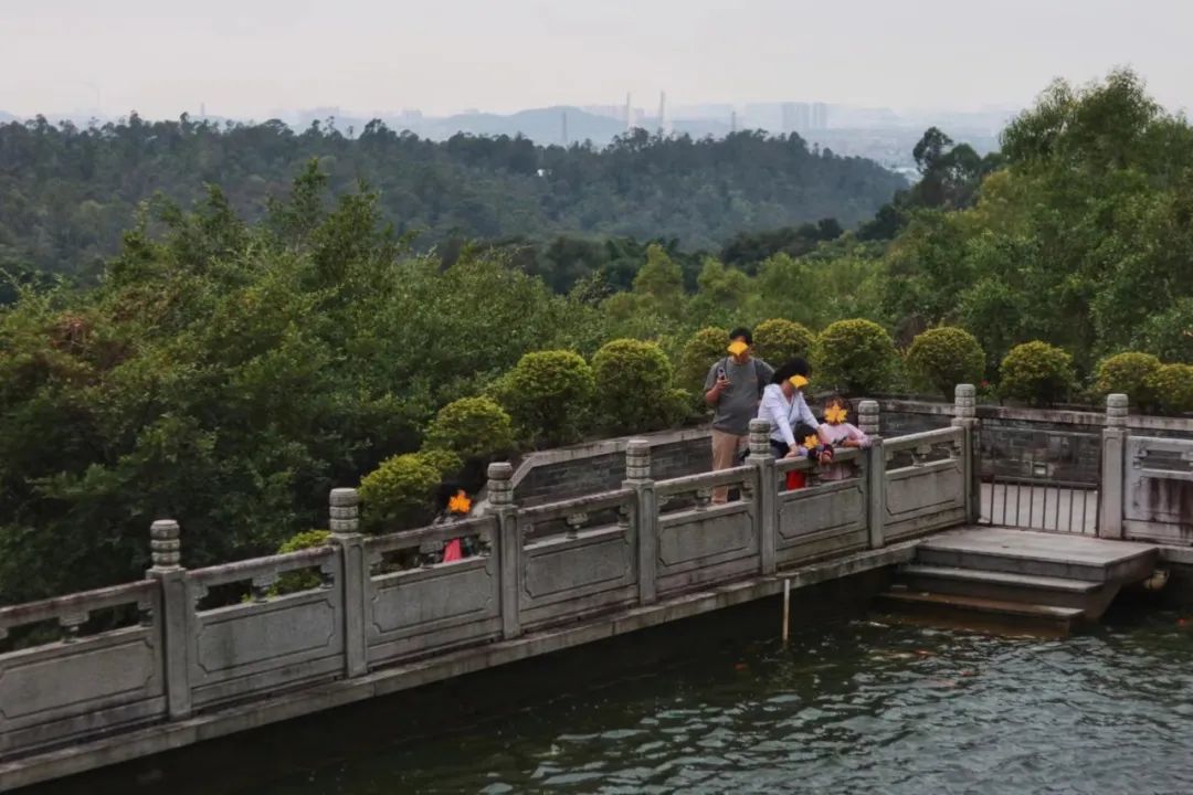 广州这个小众宝藏地,真不想你知道!人少好吃还便宜!