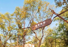 广州市区精品旅游线路指南(数十条经典线路任你选)
