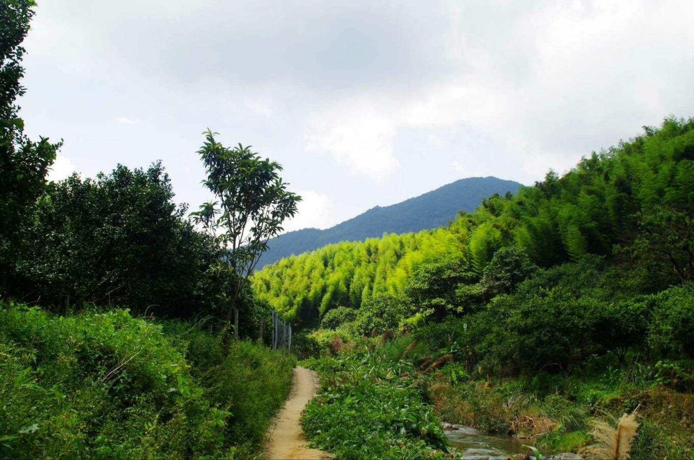 广州市区精品旅游线路指南(数十条经典线路任你选)