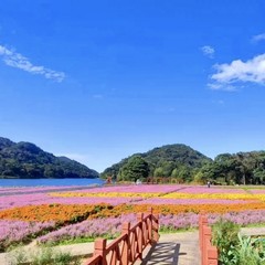 广州市郊四季游玩好去处