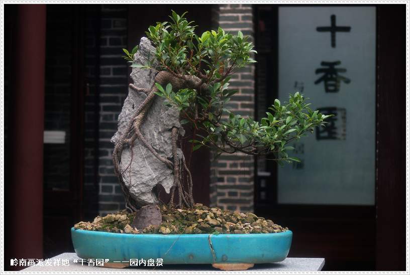 广州市区精品旅游线路指南(数十条经典线路任你选)