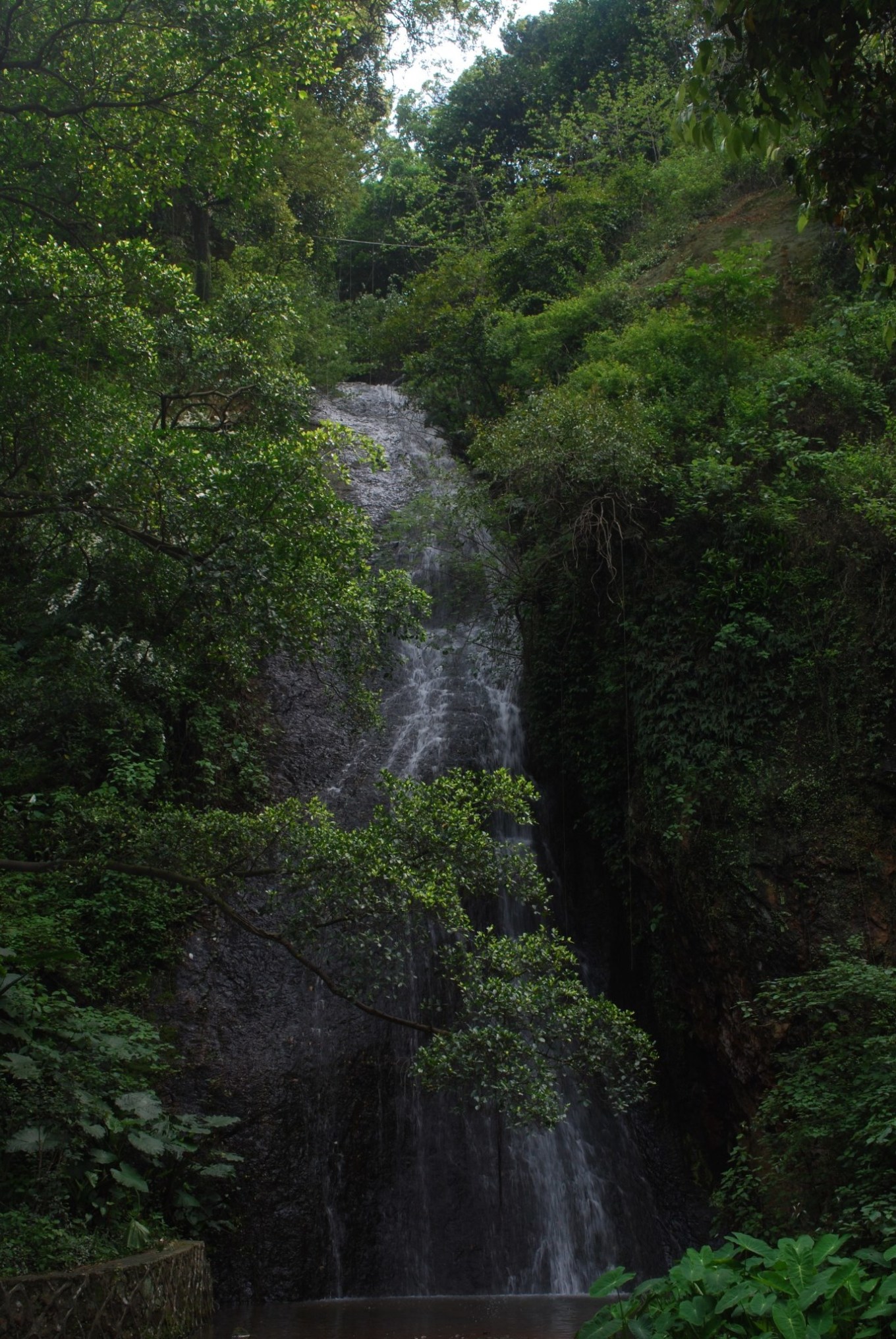 广深周边,踏青赏花寻秋