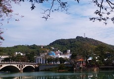 广州市区精品旅游线路指南(数十条经典线路任你选)