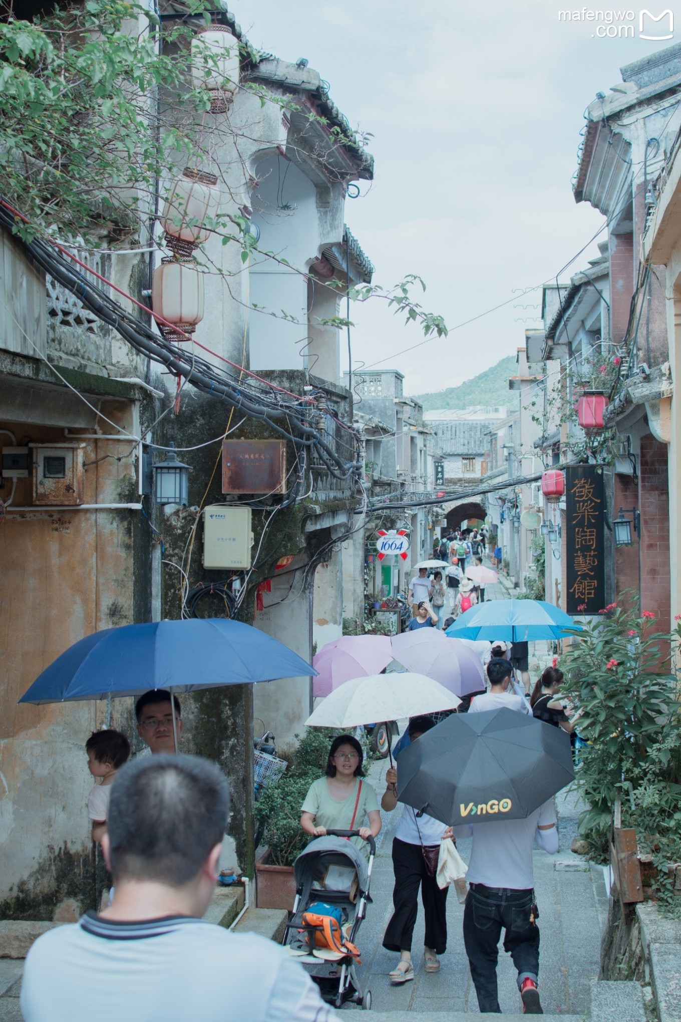 广深周边,看海选岛指南