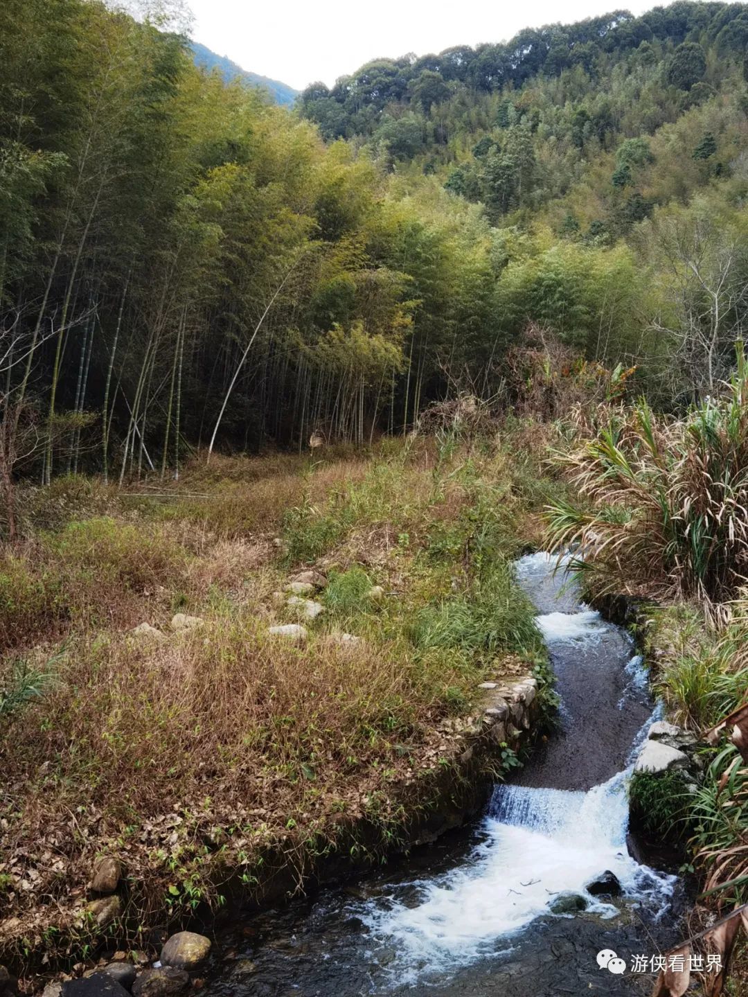 广州绝美乡村星溪线徒步 竹林李花溪水走地鸡竹筒饭