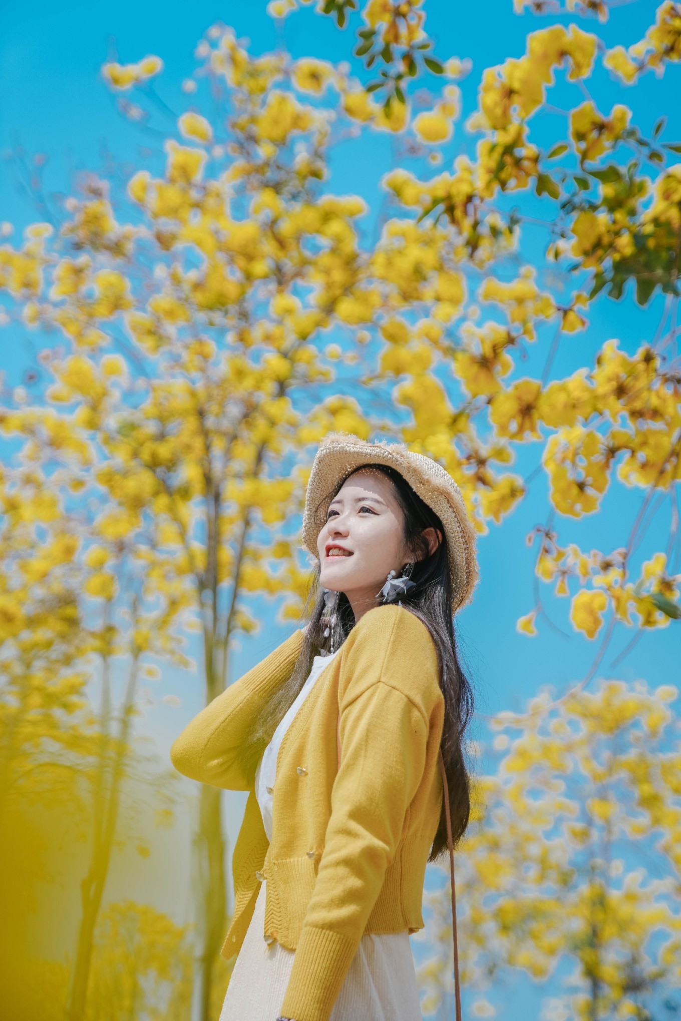 广州市郊四季游玩好去处