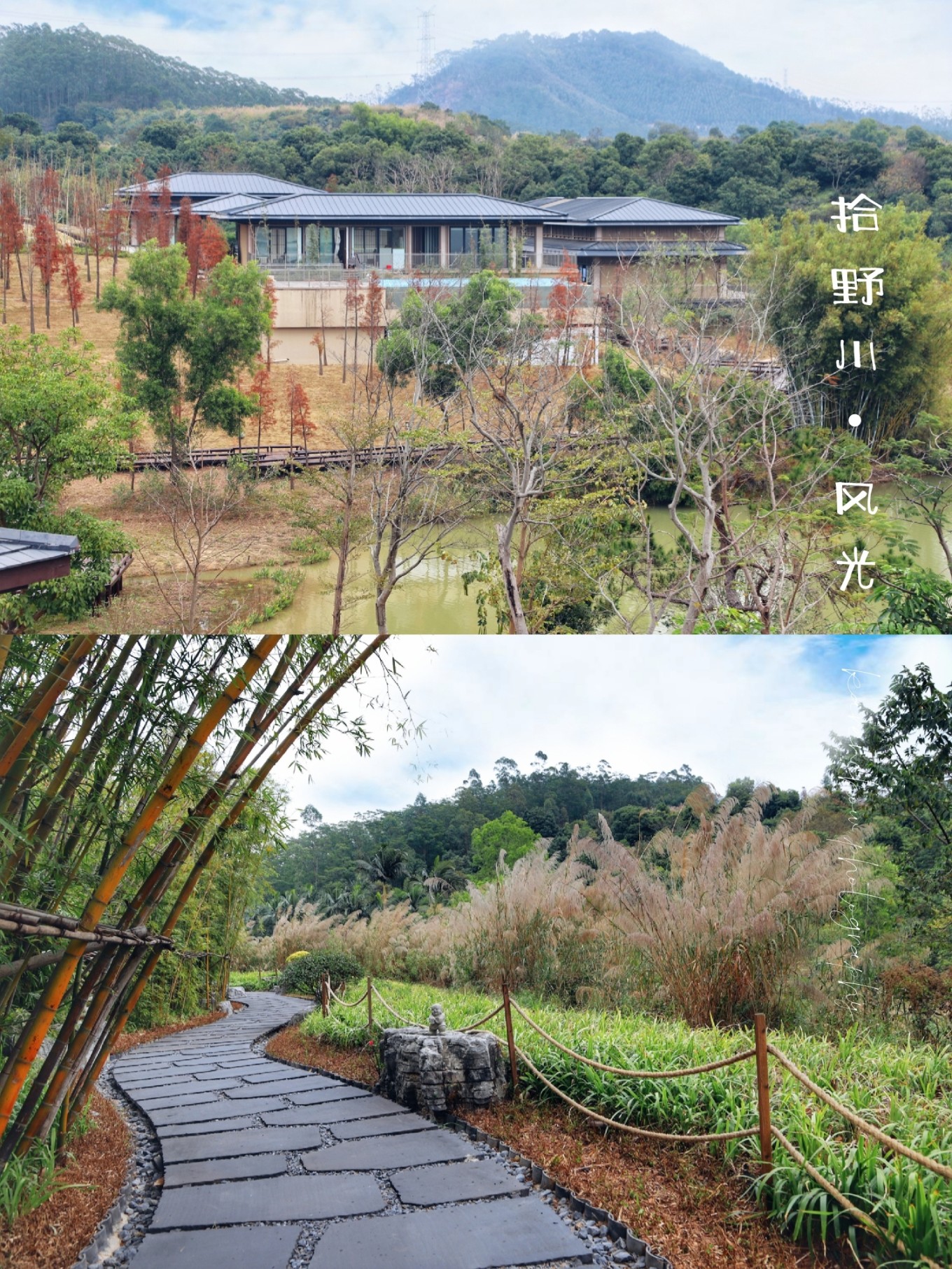 广州/深圳周边露营地盘点,周末就可出发