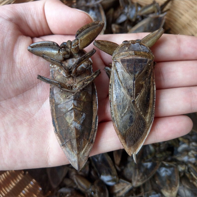 广州地道小吃都有些什么 ???