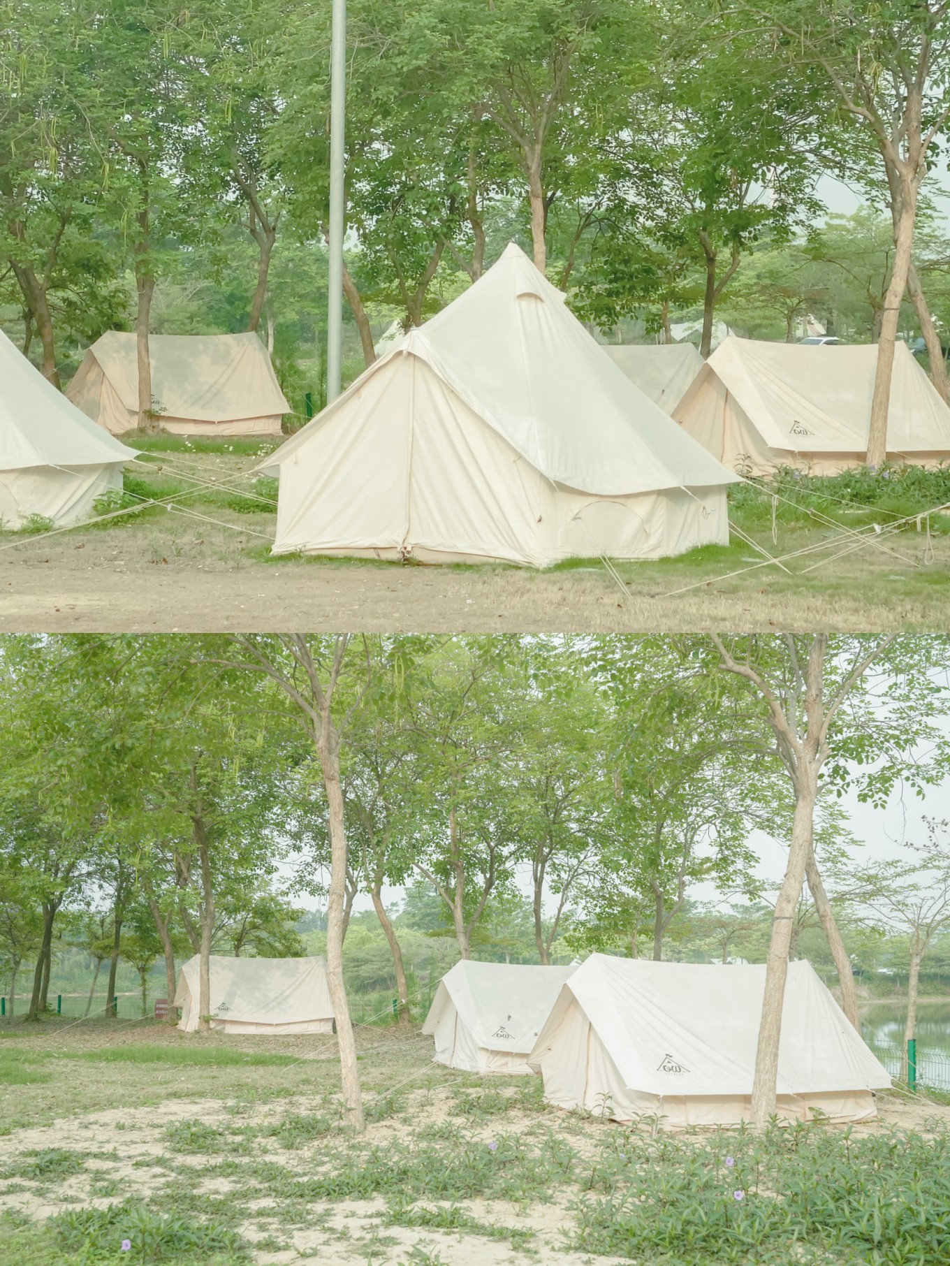 广州/深圳周边露营地盘点,周末就可出发