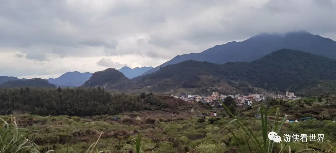 广州绝美乡村星溪线徒步 竹林李花溪水走地鸡竹筒饭