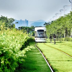 带父母游【广州】攻略(数十条经典经路供选择)