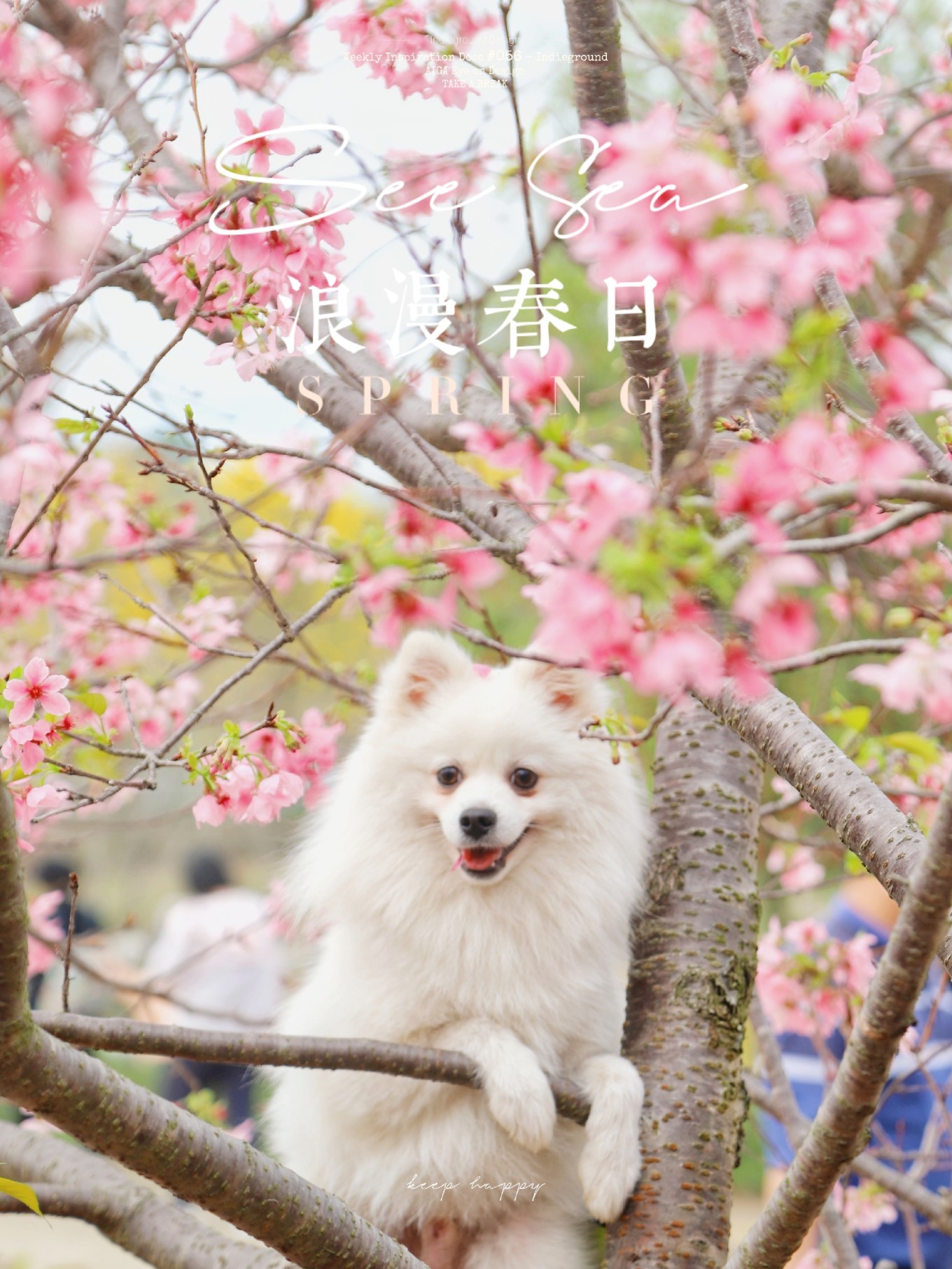 广州市郊四季游玩好去处