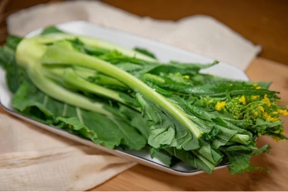 增城迟菜心，菜品示意